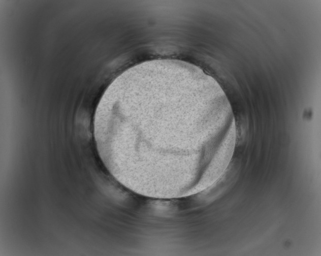 X0000101180187200807250948