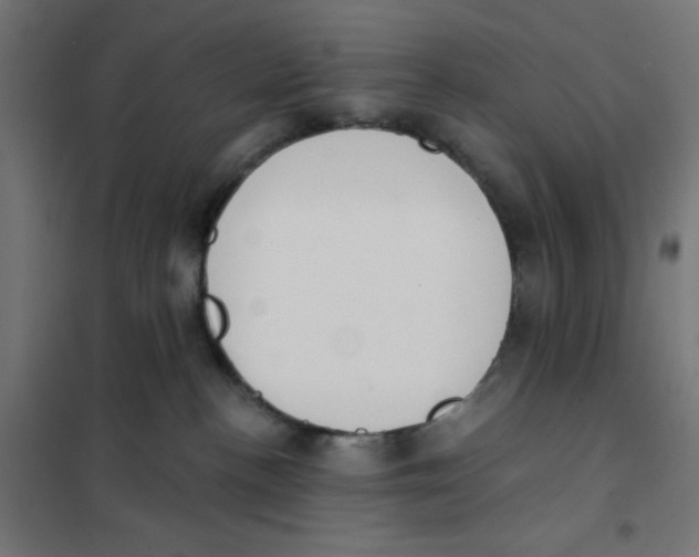 X0000101180188200807250948