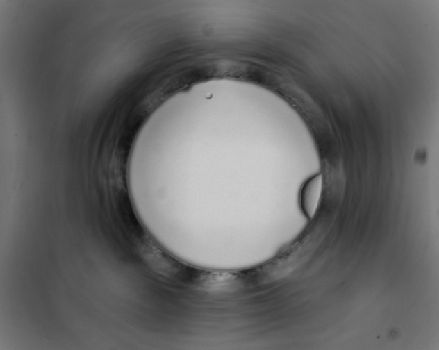 X0000101180189200807250948