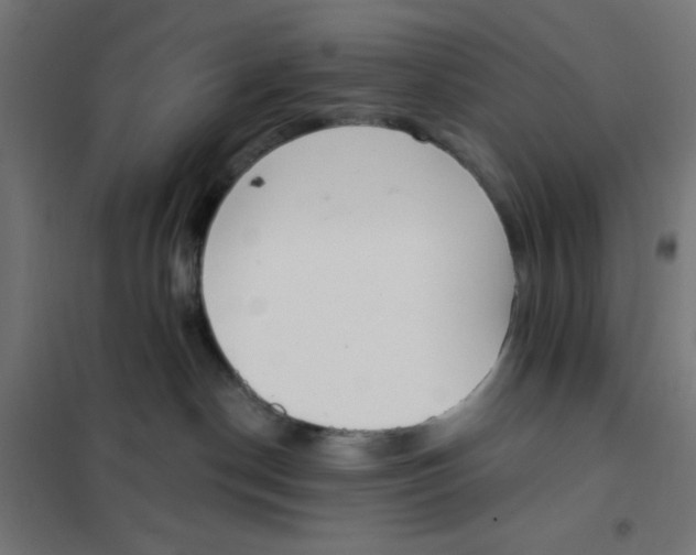 X0000101180190200807250948