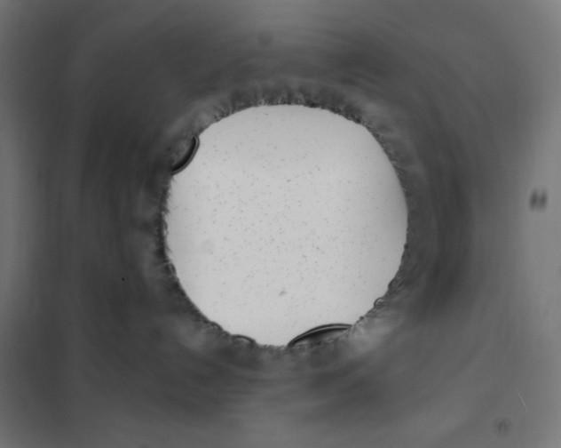 X0000101180192200807250948