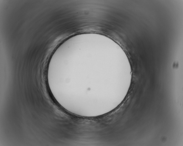 X0000101180193200807250947