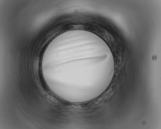 X0000101180194200807250947