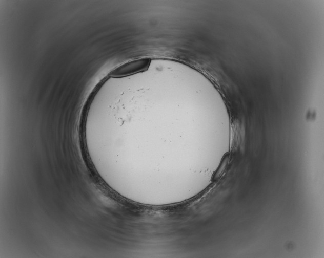 X0000101180195200807250947