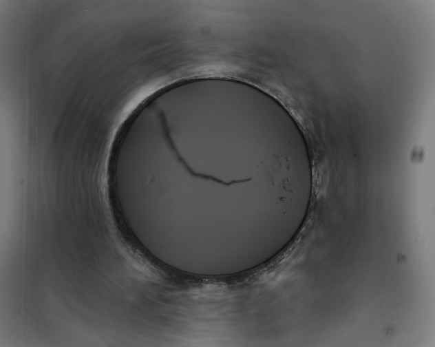 X0000101180196200807250947