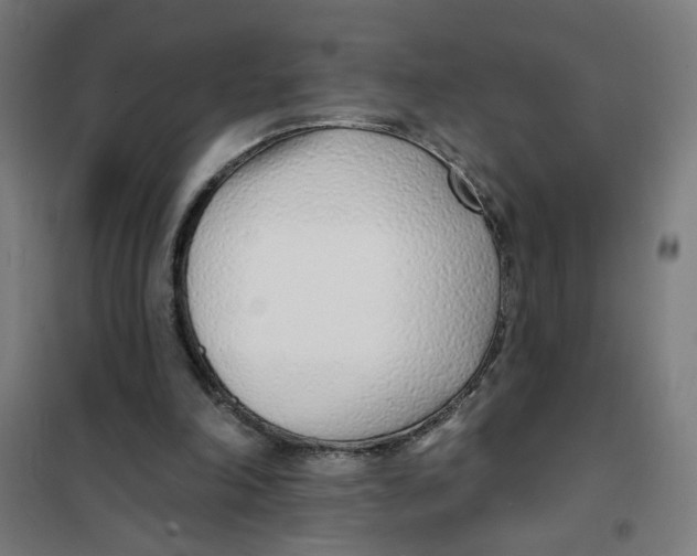 X0000101180198200807250947