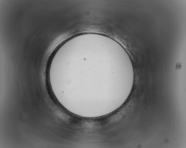 X0000101180199200807250947