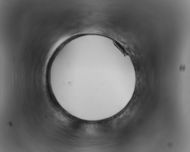 X0000101180200200807250947