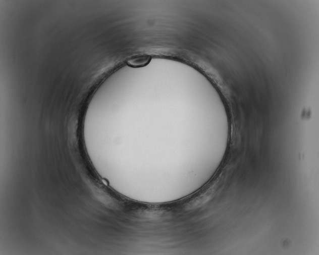 X0000101180201200807250947