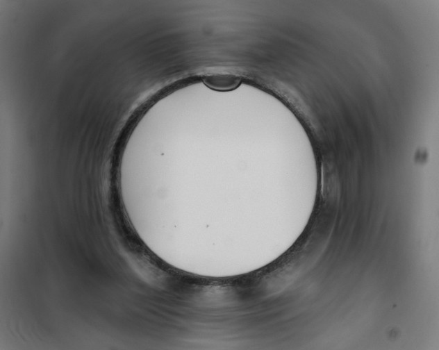 X0000101180204200807250947