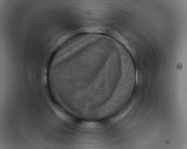 X0000101180205200807250947