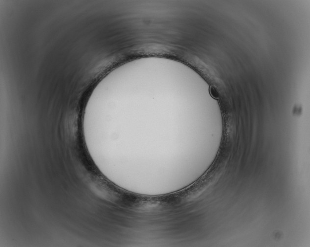 X0000101180206200807250947