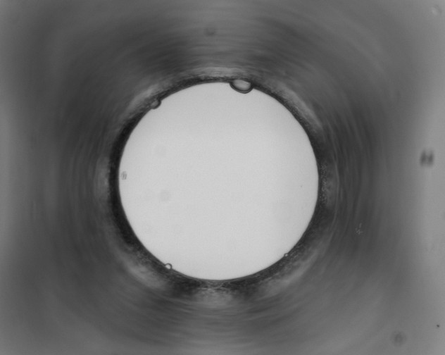 X0000101180207200807250947