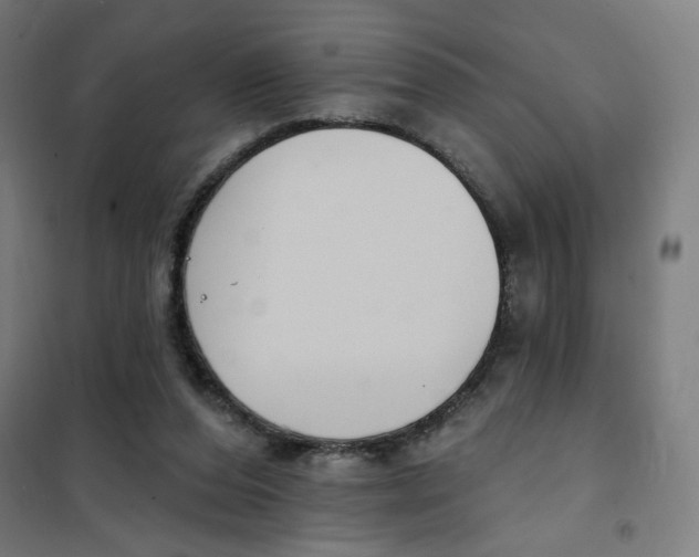 X0000101180208200807250947