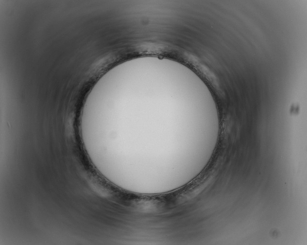 X0000101180209200807250947