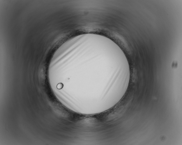 X0000101180210200807250947