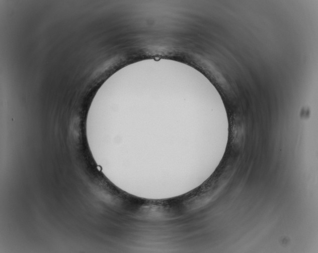 X0000101180211200807250947