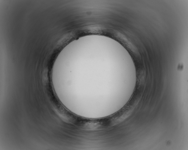 X0000101180213200807250947