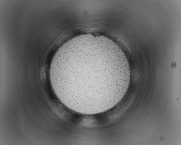 X0000101180214200807250947