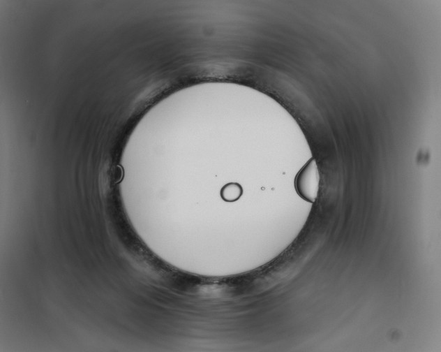 X0000101180216200807250947