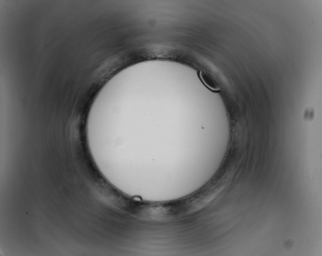 X0000101180217200807250947