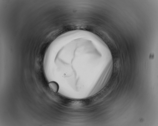 X0000101180218200807250947