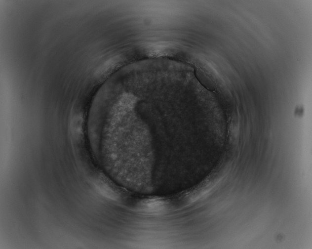 X0000101180219200807250947