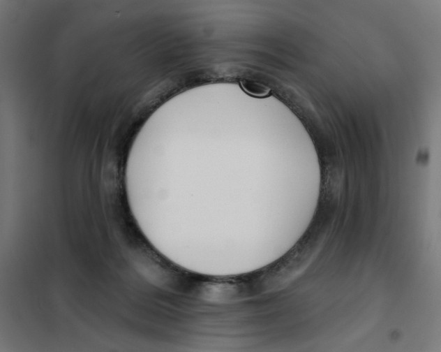 X0000101180220200807250947