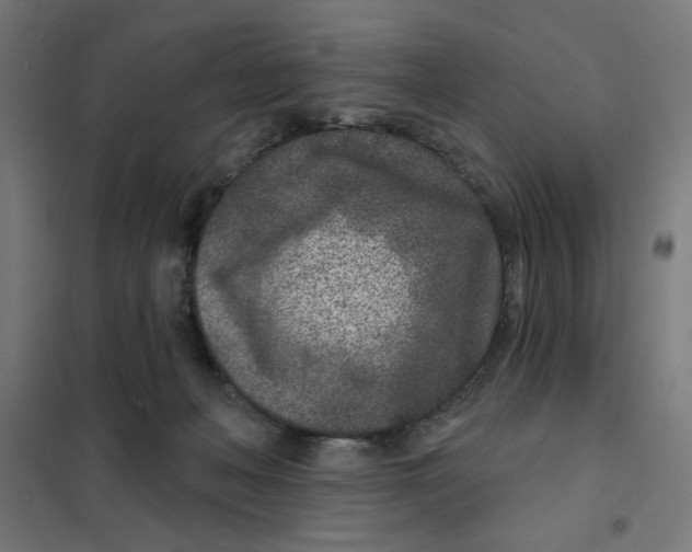 X0000101180222200807250947