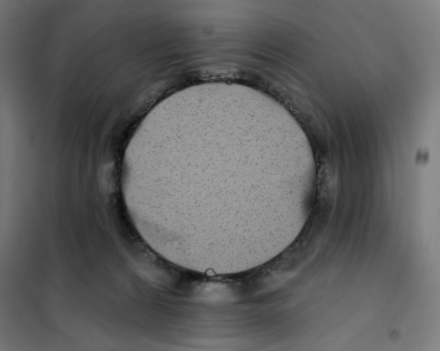 X0000101180224200807250947