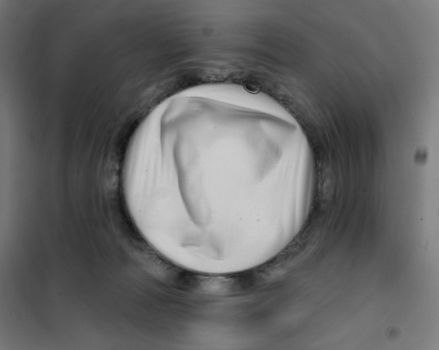 X0000101180226200807250947