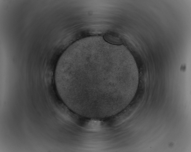 X0000101180227200807250947