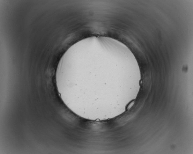 X0000101180229200807250947