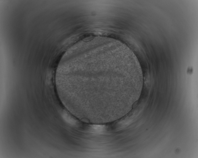 X0000101180233200807250947