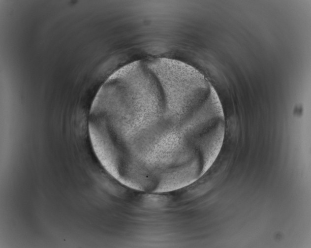 X0000101180234200807250947