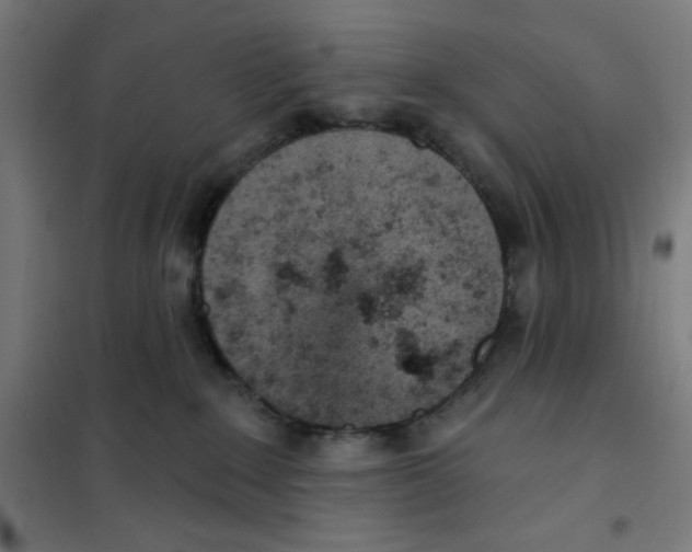 X0000101180235200807250947