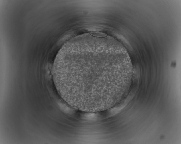 X0000101180237200807250947