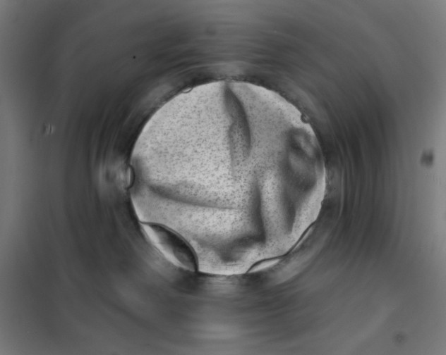 X0000101180238200807250947