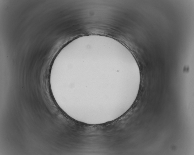 X0000101180241200807250946