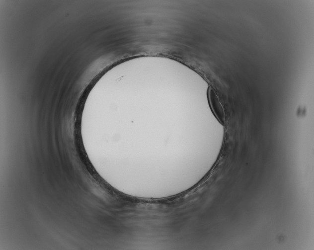 X0000101180242200807250946