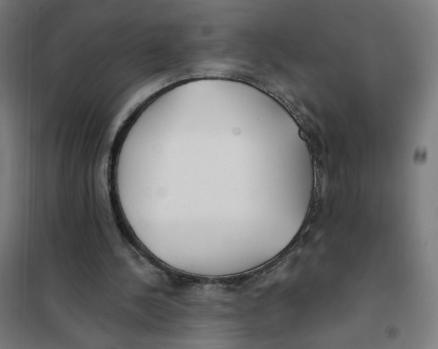 X0000101180244200807250946