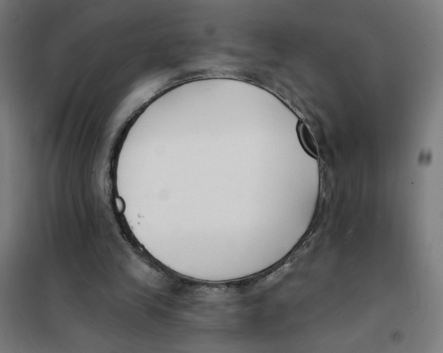 X0000101180245200807250946