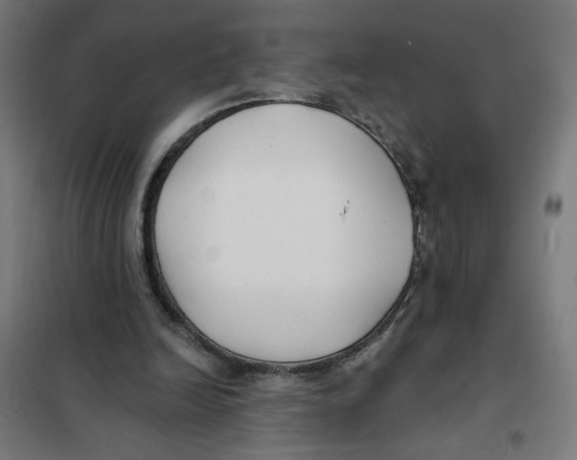 X0000101180246200807250946