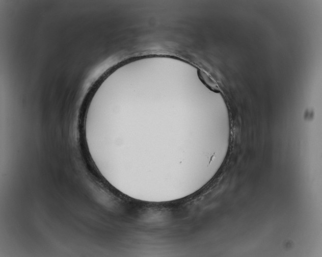 X0000101180248200807250946