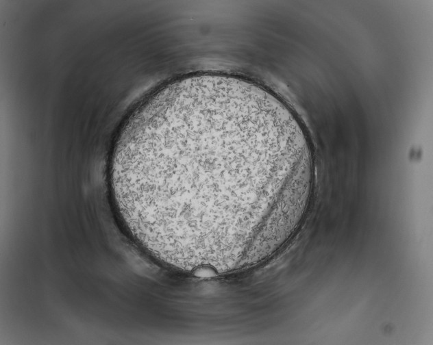X0000101180249200807250946