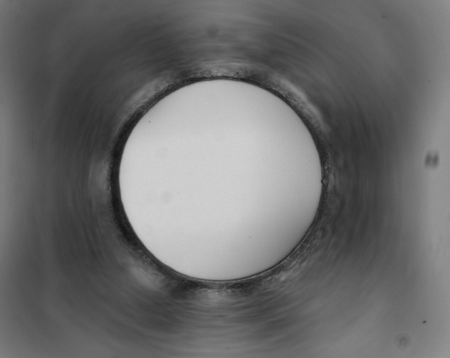 X0000101180250200807250946