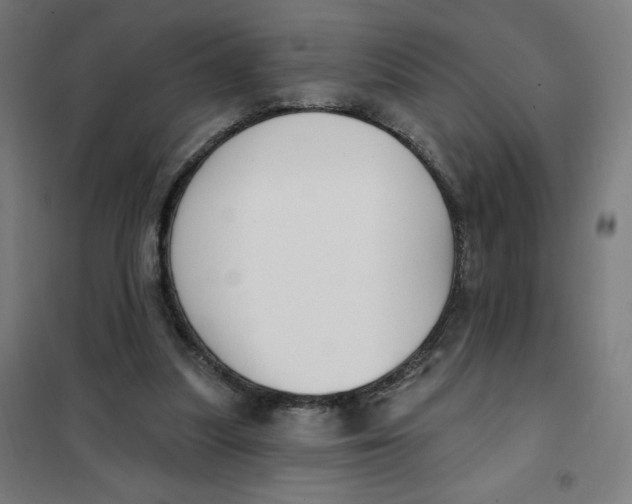 X0000101180251200807250946