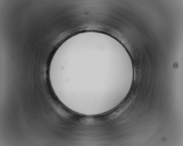 X0000101180253200807250946