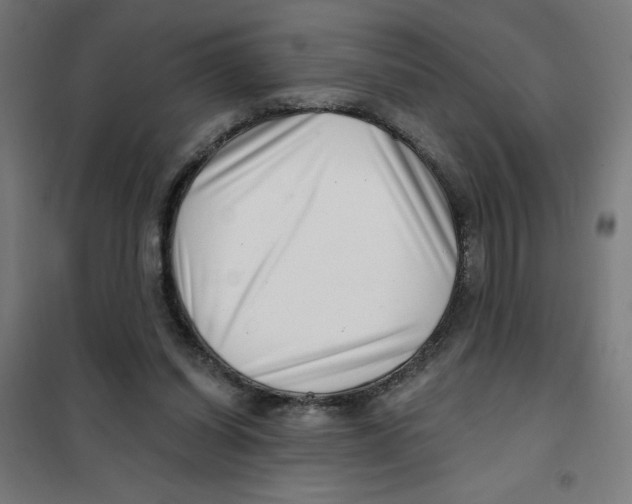 X0000101180254200807250946