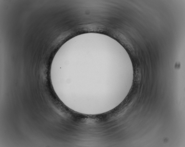 X0000101180255200807250946